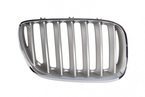 Grila radiator Dreapta (titan) potrivit BMW X5 (E53) 3.0-4.8 01.00-10.06 -12.06