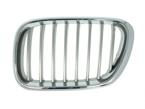 Grila radiator Stanga (titan) potrivit BMW X5 (E53) 3.0-4.6 01.00-10.06 -12.03