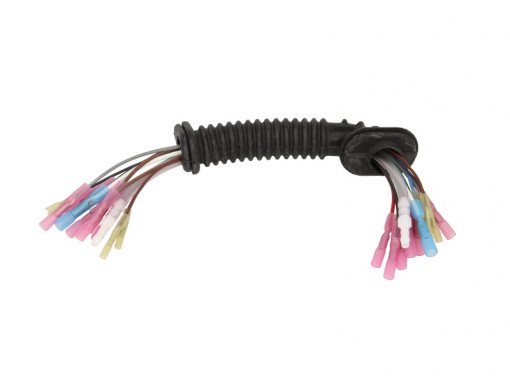 Set cabluri Cu furtun lichid de spalare parbriz; haion(250mm, numar pini: 10, cu capac; cu furtun, Stanga) potrivit VW GOLF IV 1.4-3.2 08.97-06.05