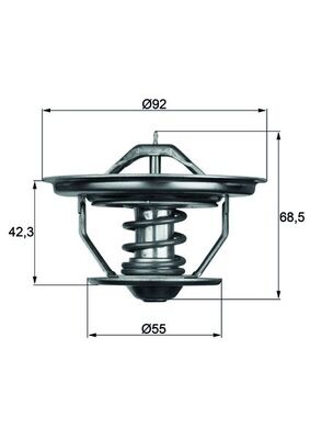 Termostat lichid racire (75°C, fara garnitura) potrivit SCANIA 2, 3, 3 BUS, 4 DC11.01-DTC11.02 05.80-