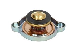 Buson radiator potrivit MAN F2000, F9, F90, G90, L2000, M 2000 L, M 2000 M, M90; SETRA 200, 300, 400, 500 D0226MCFO/170-OM942.911 01.73- - Img 2