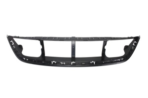 Grila radiator potrivit FORD USA MUSTANG 3.7/5.0 dupa 2010 2013-2015 - (interior, negru)