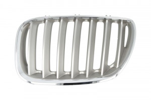 Grila radiator Stanga potrivit BMW X5 (E53) 3.0-4.8 2000-2006 pana in 2006 - (titan)