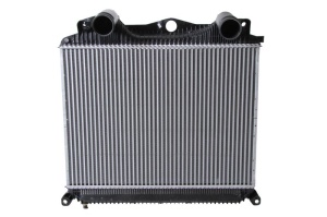 Intercooler (rezervoare de plastic) potrivit MAN TGA, TGS I, TGX I D0836LF41-D3876LF09 06.99- - Img 1