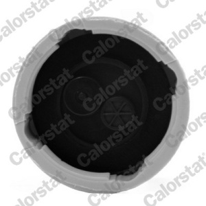 Vas expansiune racire (cu priza) potrivit CHEVROLET LACETTI; DAEWOO LACETTI 02.04- - Img 3