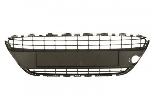 Grila bara cu un loc dunga, plastic, negru potrivit FORD FIESTA V, FIESTA VI dupa 2003 2008-2013