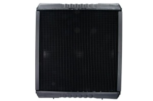 Radiator motor (cu rama) potrivit FENDT 700, 800 BF6M2013-TCD6.1L064V 01.02- - Img 1