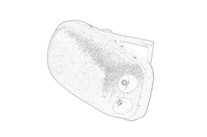 Diuza spalator parbriz potrivit FORD FOCUS II 2004-2012