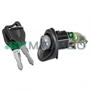 Incuietoare haion potrivit RENAULT TWINGO I, TWINGO I/HATCHBACK 1993-2012 - (cu 2 taste)