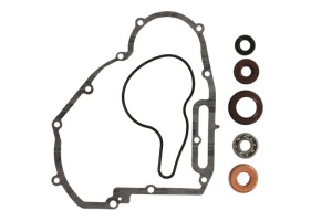 Set reparatie pompa apa potrivit POLARIS RANGER, RZR, SPORTSMAN 800 2011-2016 - Img 1