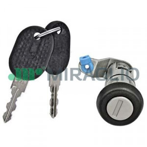Set blocare potrivit IVECO DAILY 1999-2014 - usa fata/spate stanga/dreapta , usa culisanta