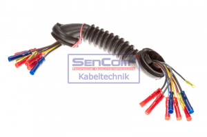 Set cabluri haion (250mm, numar pini: 10, cu capac) potrivit OPEL ZAFIRA A 1.6-2.2D 04.99-06.05 - Img 2