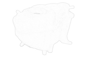 Vas expansiune racire potrivit AUDI A8 D3 10.02-07.10 - Img 1