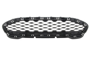 Grila radiator potrivit FORD FIESTA VII 1.0-1.5D dupa 2017 - (negru lucios)