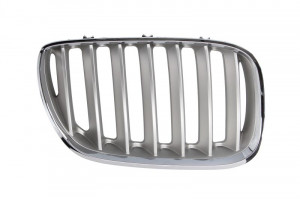 Grila radiator Dreapta potrivit BMW X5 (E53) 3.0-4.8 2000-2006 pana in 2006 - (titan)