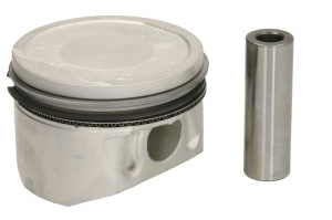 Piston 79,5 (STD) potrivit DACIA DUSTER, DUSTER/SUV, LOGAN, LOGAN MCV, SANDERO; NISSAN KUBISTAR; RENAULT CLIO II, GRAND SCENIC II, KANGOO, KANGOO BE BOP, KANGOO EXPRESS 1.6/1.6ALK/1.6LPG 11.97-