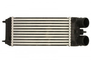 Radiator motor potrivit NISSAN PATROL GR V; PEUGEOT 207 1.6/2.8D 06.97-12.13 - Img 1