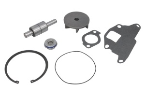 Set reparatie pompa apa potrivit FORD, NEW HOLLAND 5640, 6410, 6640, 6810, 100, 100 BR, 110, 110 BR, 115, 120 BR, 90 - Img 2