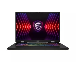 Laptop gaming MSI Sword 17 HX B14VGKG, 17" FHD+ 165Hz, Intel® Core™ i7 14700HX, 16GB RAM, SSD 1TB, nVidia GeForce RTX 4070 8GB GDDR6, Free DOS, Cosmos Gray