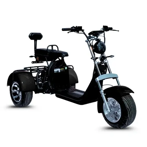 City Coco CP-3.0 triciclu electric, cu doua locuri, autonomie reglabila (20 Ah / 40 Ah) - Img 2