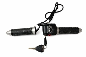 Acceleratie stanga si dreapta pentru EcoWay Chopper