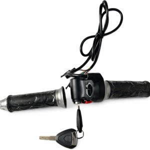 Set manere cu acceleratie si contact pentru City Coco CP-1.6