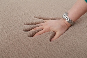Covor Heinner Shaggy soft blanita Maro 200x300 cm - Img 3