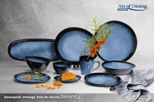 SET 4 FARFURII OVALE CERAMICA 21 CM, SERENITY, ART OF DINING BY HEINNER - Img 3