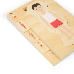 Puzzle anatomic din lemn - Baiat - Img 2