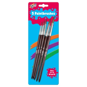 Set 5 pensule pictura