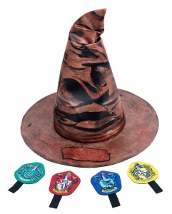 Palarie magica & insigne Harry Potter