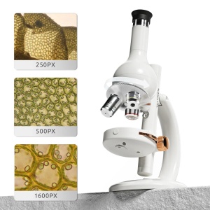 Mini laboratorul meu cu microscop