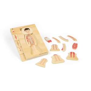Puzzle anatomic din lemn - Baiat - Img 4