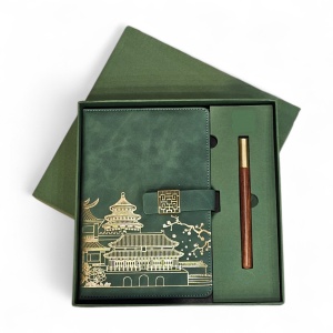 Set agenda si pix verde( 25-6)