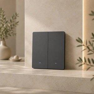 Sonoff M5-2C-80 – Întrerupător Smart WiFi, Matter, 2 canale pentru cadru