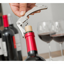 Set de accesorii pentru vin in cutie sub forma de vin - Img 4
