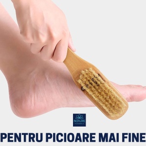 Perie dubla cu piatra ponce si maner din lemn - Img 10