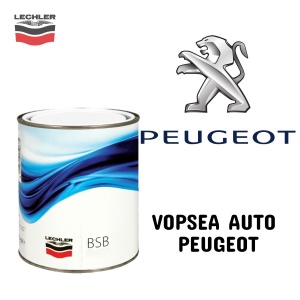 Vopsea auto Peugeot preparată după codul mașinii