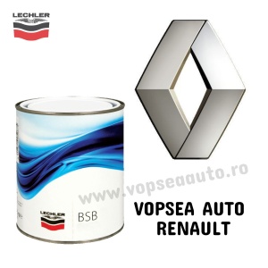 Vopsea auto Renault preparată după codul mașinii