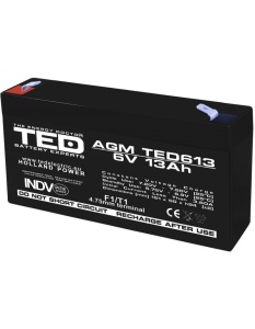 Acumulator etans 6V-13A TED