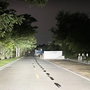 Bec LED H1 24V pentru camion – iluminare puternică pentru drumuri lungi și condiții dificile