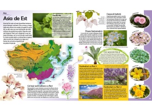 Călătorie în lumea plantelor - Img 5