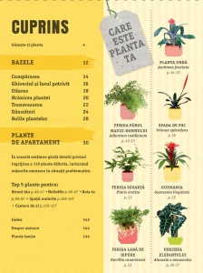 Cum să nu îţi ucizi plantele de apartament - Img 2