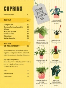 Cum să nu îţi ucizi plantele de apartament - Img 2