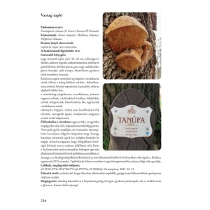 Farkas János: Sepsiszentgyörgy gombái - Img 4