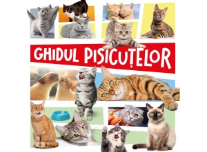 Ghidul pisicuțelor