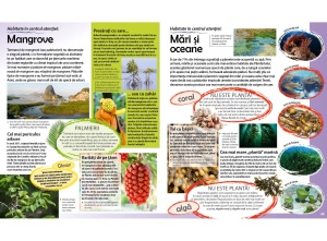 Călătorie în lumea plantelor - Img 6