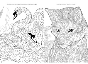 Animale - Culoare și magie - Img 3