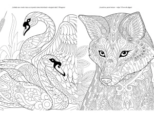 Animale - Culoare și magie - Img 3