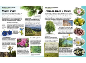 Călătorie în lumea plantelor - Img 3